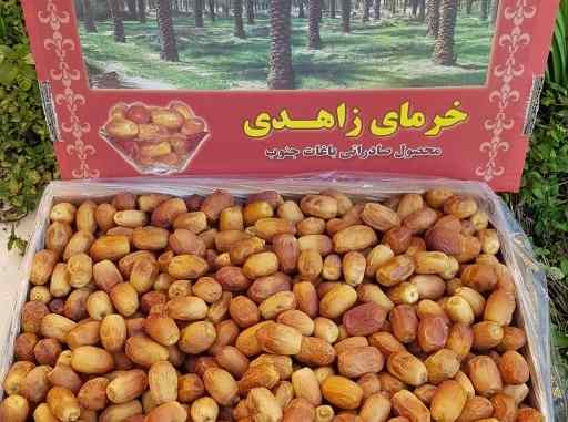 قیمت خرما زاهدی عسلی با کیفیت ارزان + خرید عمده